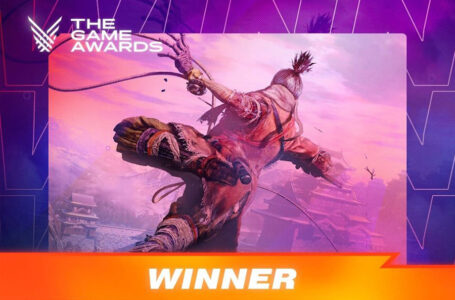 The Game Awards 2019 Akhirnya Selesai Sudah, Dan Inilah Para Pemenangnya