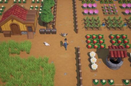 Developer Lokal Asal Yogyakarta Siap Merilis Game Mirip Harvest Moon Berjudul Coral Island